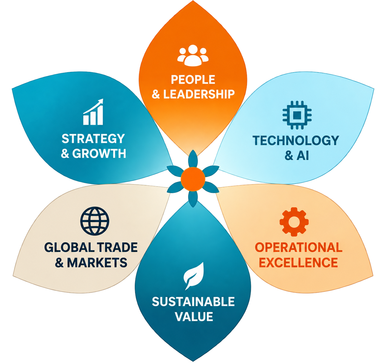 Aumitra capability diagram: People and Leadership, Technology and AI, Operational Excellence, Sustainable Value, Global Trade and Markets, Strategy and Growth